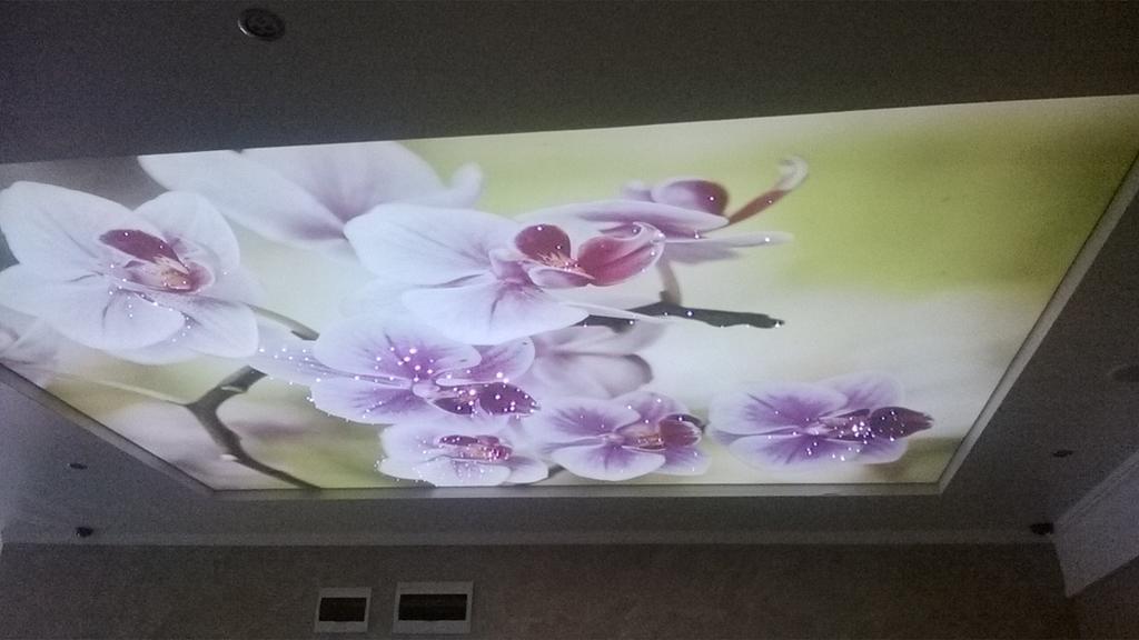 Villa Roma Monna نيسيبار المظهر الخارجي الصورة